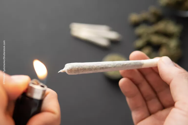 Cannabis