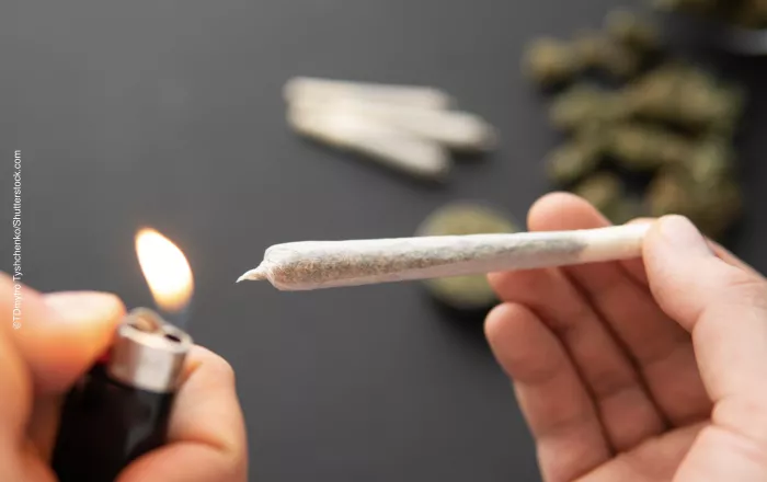 Cannabis